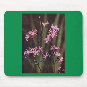 Mousepad Flores Selvagens: Robin Arrastado