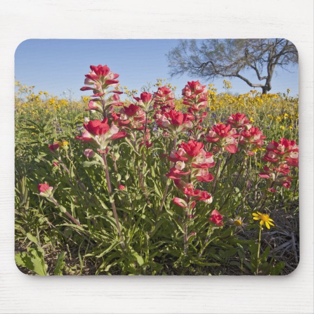 Mousepad Flores silvestres à beira da estrada no Texas, pri (Frente)