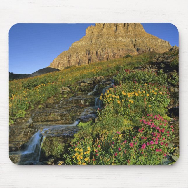 Mousepad Flores silvestres alpinas & Mt Clements em Logan P (Frente)