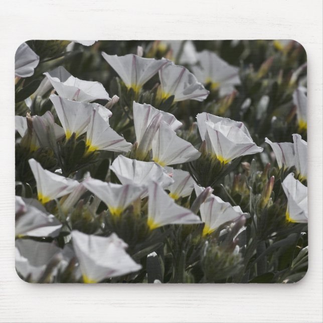 Mousepad flores silvestres brancas (Frente)