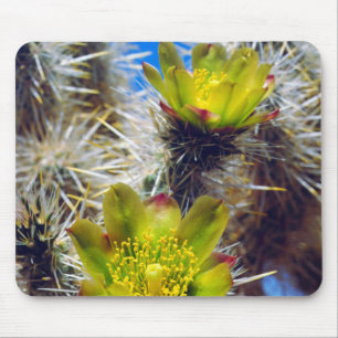 Mousepad Flores Silvestres de Cacto Cholla Prateado