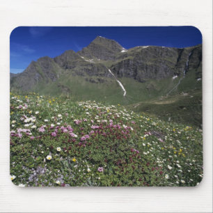 Mousepad Flores silvestres, florescendo, Alpes, Suíça