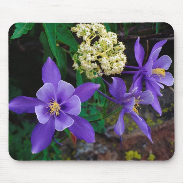 Mousepad Flores Silvestres Mutantes Columbine (Frente)