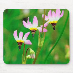 Mousepad Flores Silvestres Shooting Star no Parque Mission