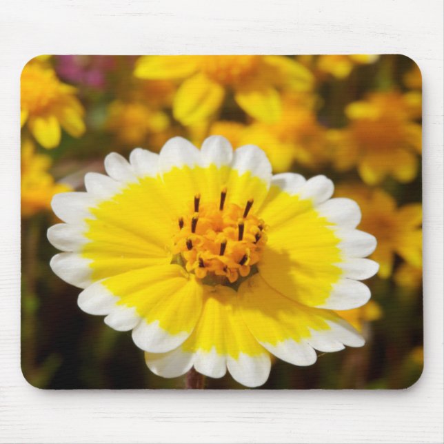 Mousepad Flores Silvestres Tidy Tip (Frente)