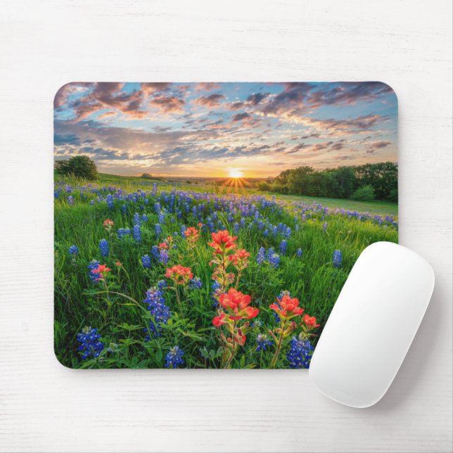 Mousepad Flores | Texas Bluebonnets e Pincel da Índia (Com mouse)