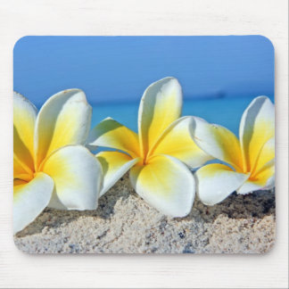 Mousepad Flores tropicais