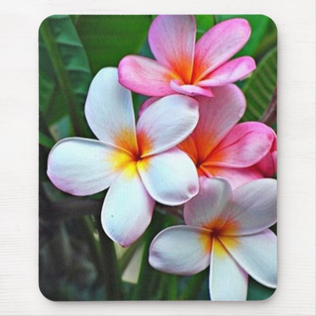 Mousepad Flores tropicais (Frente)