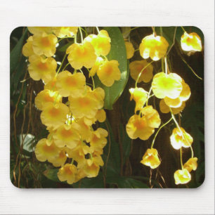 Mousepad Flores Tropicais das Orquídeas Amarelas de Pé