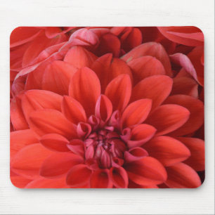 Mousepad Flores vermelhas bonitas da dália
