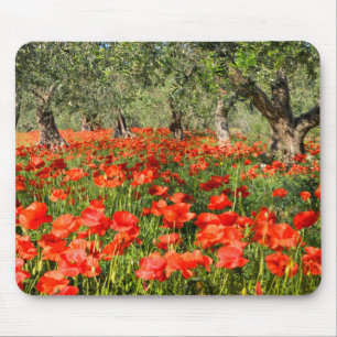 Mousepad Flores vermelhas da papoila sob oliveiras velhas