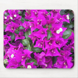 Mousepad Flores Vibrantes de Bougainvillea Roxa