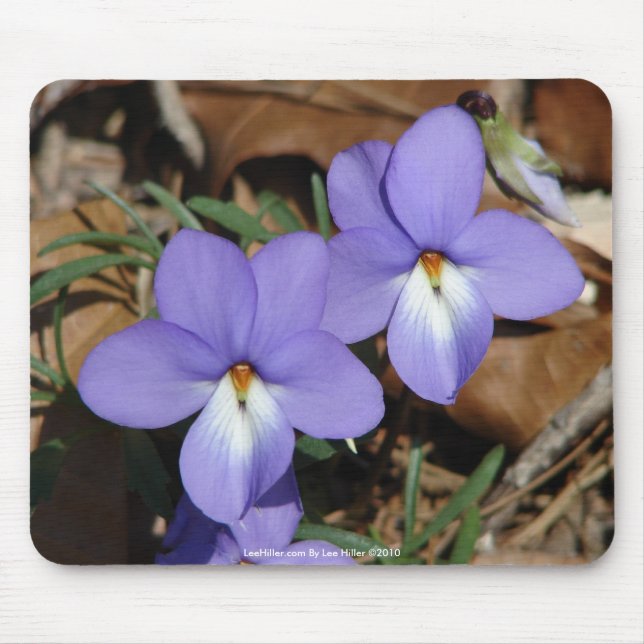 Mousepad FloresSilvestres Violeta Pata de Pássaro III Prese (Frente)