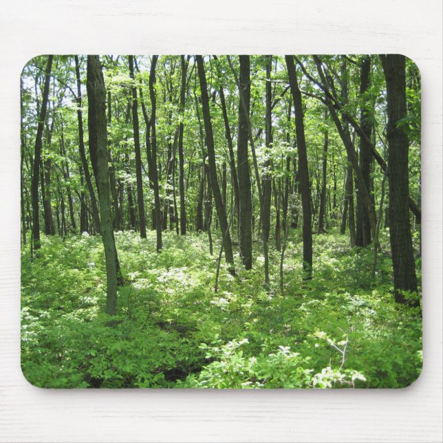 Mousepad Floresta (Frente)