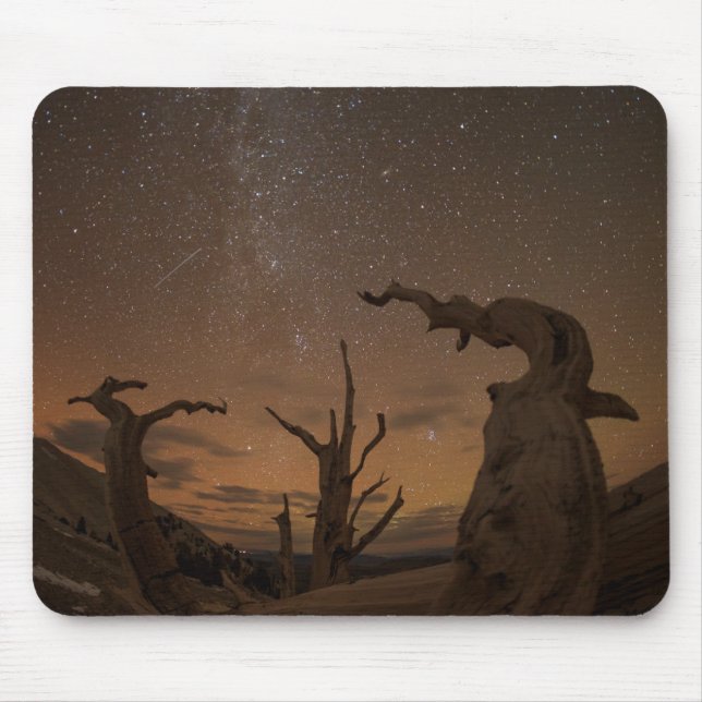 Mousepad Floresta Antiga de Pinheiros Bristlecone | Califór (Frente)