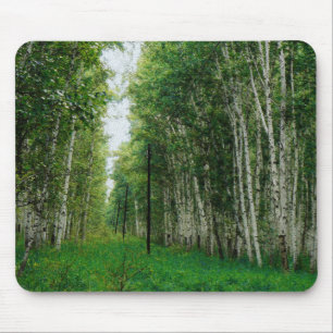 Mousepad Floresta Bela de Árvore de Bairro