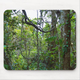Mousepad Floresta Chuva