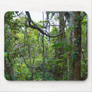 Mousepad Floresta Chuva
