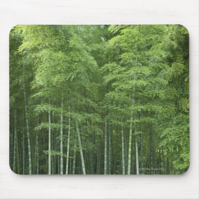 Mousepad Floresta de bambu (Frente)