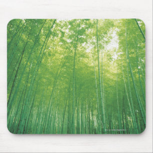 Mousepad Floresta de bambu 2