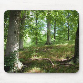 Mousepad Floresta de conto de fadas