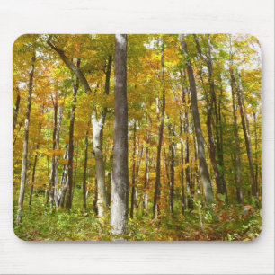 Mousepad Floresta de Folhas Amarelas Paisagem de Outono