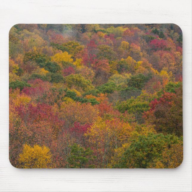 Mousepad Floresta de madeira de lei no Condado de Randolph, (Frente)