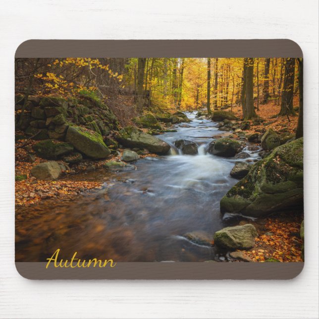Mousepad Floresta de outono (Frente)
