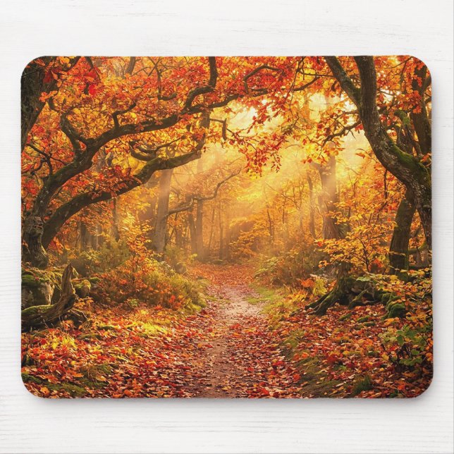 Mousepad Floresta de Outono (Frente)