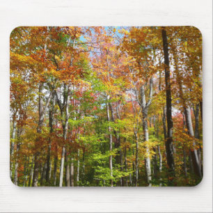 Mousepad Floresta de Outono II Fotografia de Paisagem de Ou