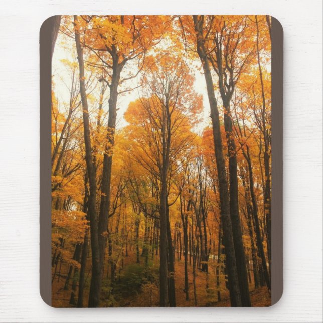 Mousepad Floresta de Outono Laranja (Frente)