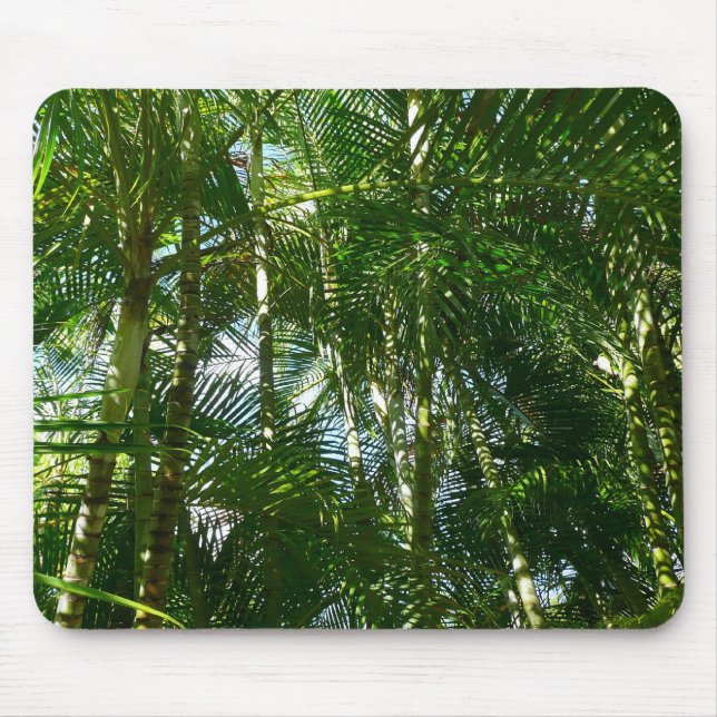 Mousepad Floresta de Palmeiras Natureza Tropical (Frente)