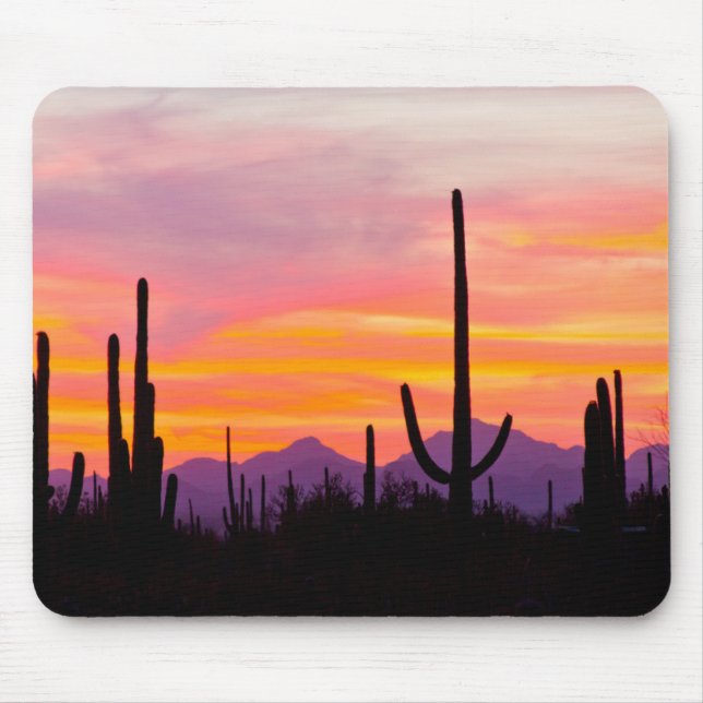 Mousepad Floresta de Saguaro Cactus aos domingos (Frente)