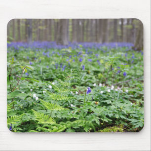 Mousepad floresta de sino azul