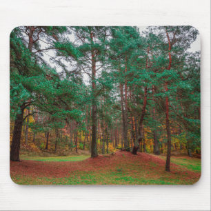 Mousepad Floresta do outono