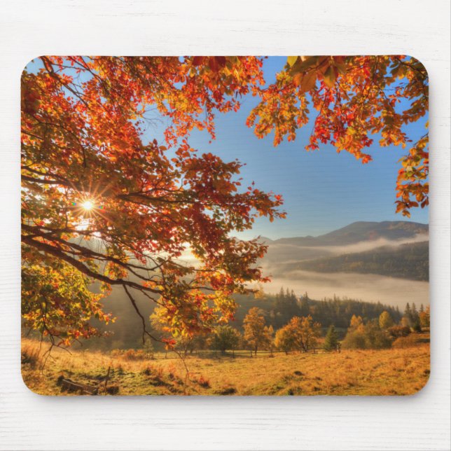 Mousepad Floresta do outono nas montanhas (Frente)
