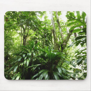 Mousepad Floresta Dominicana I Natureza Verde Tropical