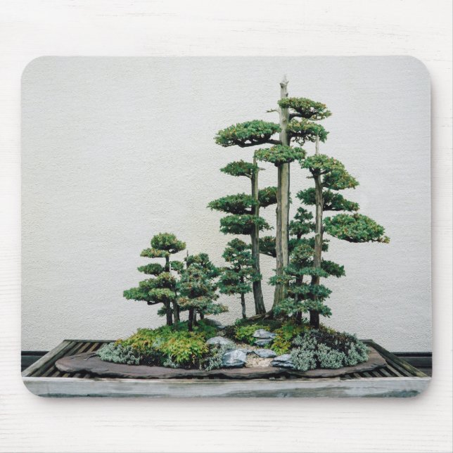 Mousepad Floresta dos bonsais do zimbro (Frente)