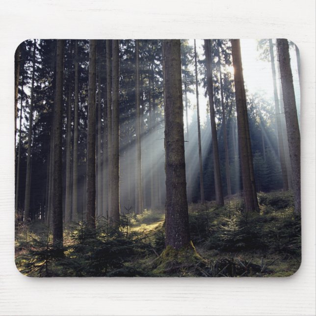 Mousepad Floresta em Baviera (Frente)
