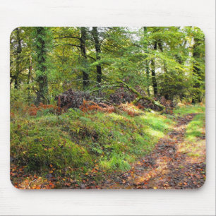 Mousepad Floresta em outubro