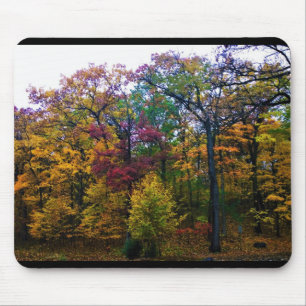 Mousepad Floresta Escura do outono