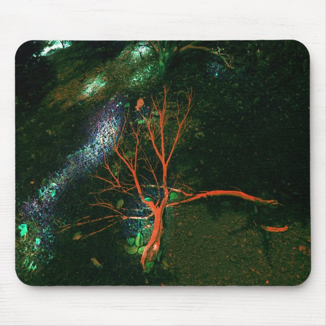 Mousepad Floresta Mística... (Frente)