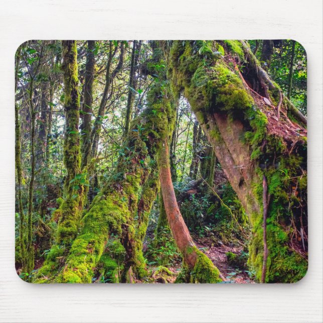 Mousepad Floresta Musgosa (Frente)