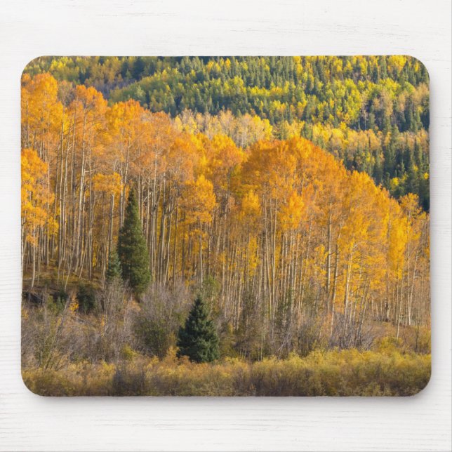 Mousepad Floresta Nacional de Gunnison (Frente)