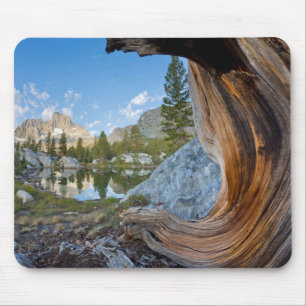 Mousepad Floresta Nacional de Inyo, Califórnia