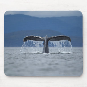 Mousepad Floresta nacional de Tongass, Humpback