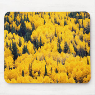 Mousepad Floresta Nacional de White River Aspen, Colorado