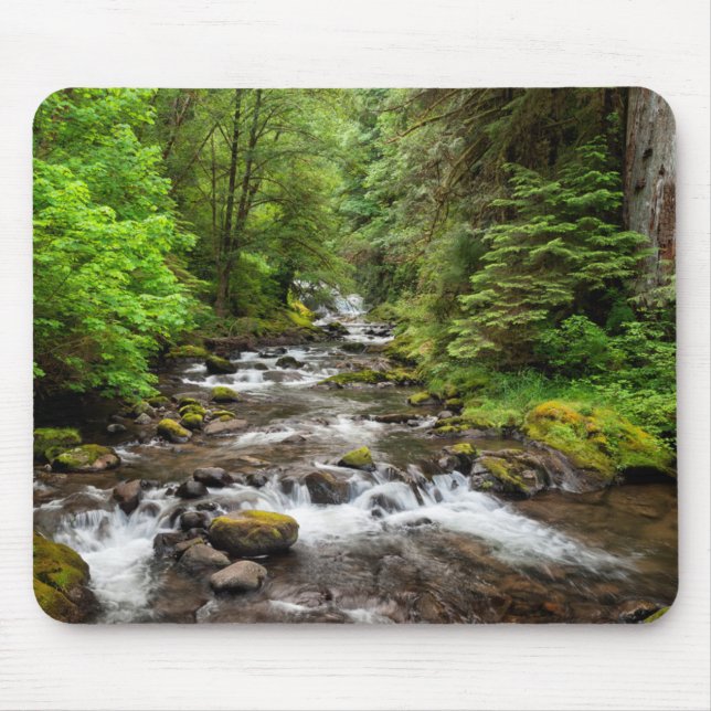 Mousepad Floresta Nacional Siuslaw | Sweet Creek (Frente)
