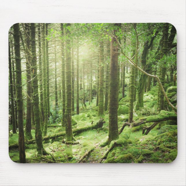 Mousepad Floresta no Kerry do parque nacional | de (Frente)