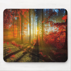 Mousepad Floresta no tapete do rato do outono
